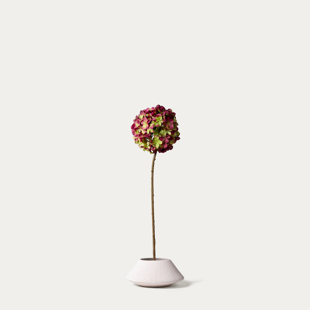 Burgundy green hydrangea-FLOW-PDP