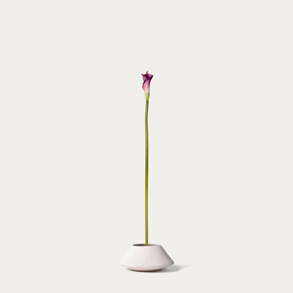 Cerise Calla Lily-FLOW-PDP