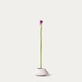 Cerise Calla Lily-FLOW-PDP