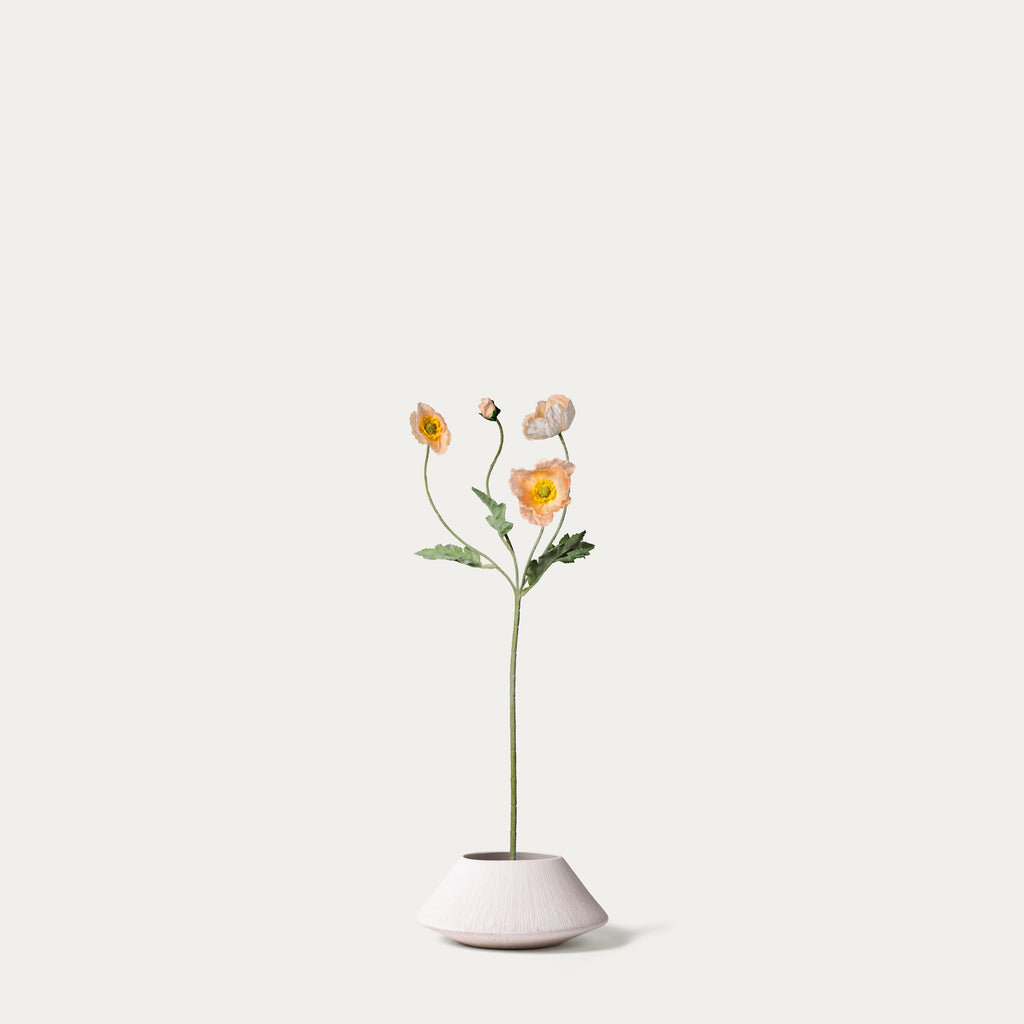 Champagne poppy-FLOW-PDP