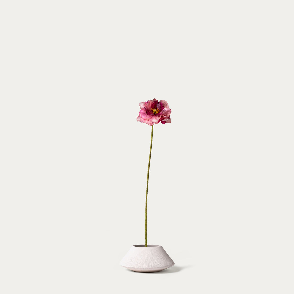 Cream Poppy pink-FLOW-PDP