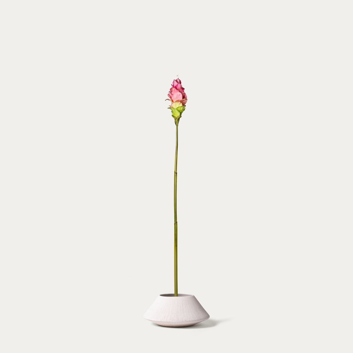 Curcuma-FLOW-PDP
