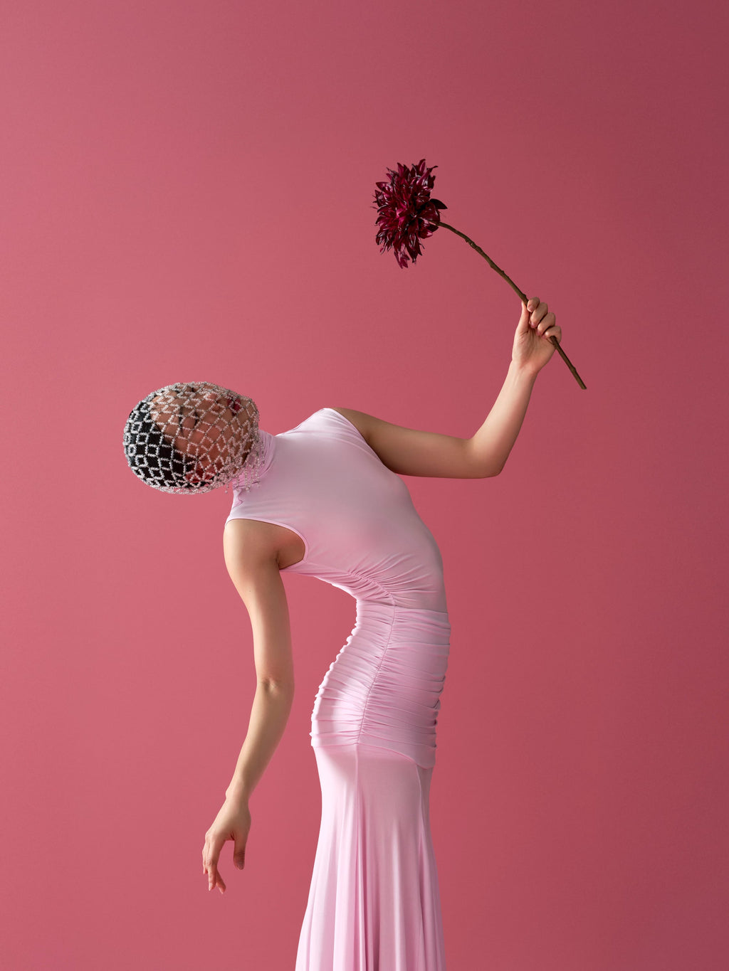 Dahlia Burgundy-SIZE-portrait