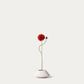 Dark pink zinnia-FLOW-PDP