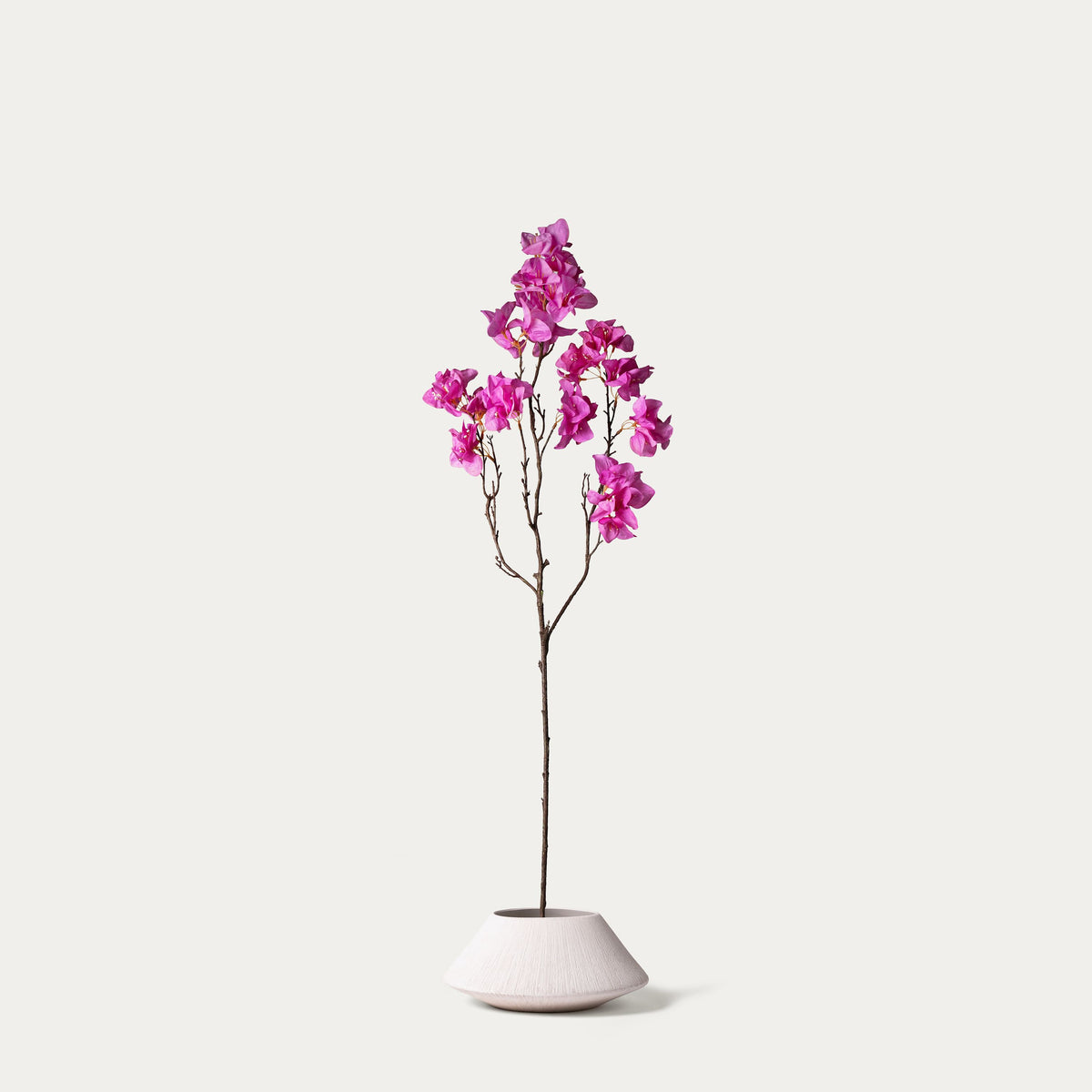 Fuchsia bougainvillea-FLOW-PDP