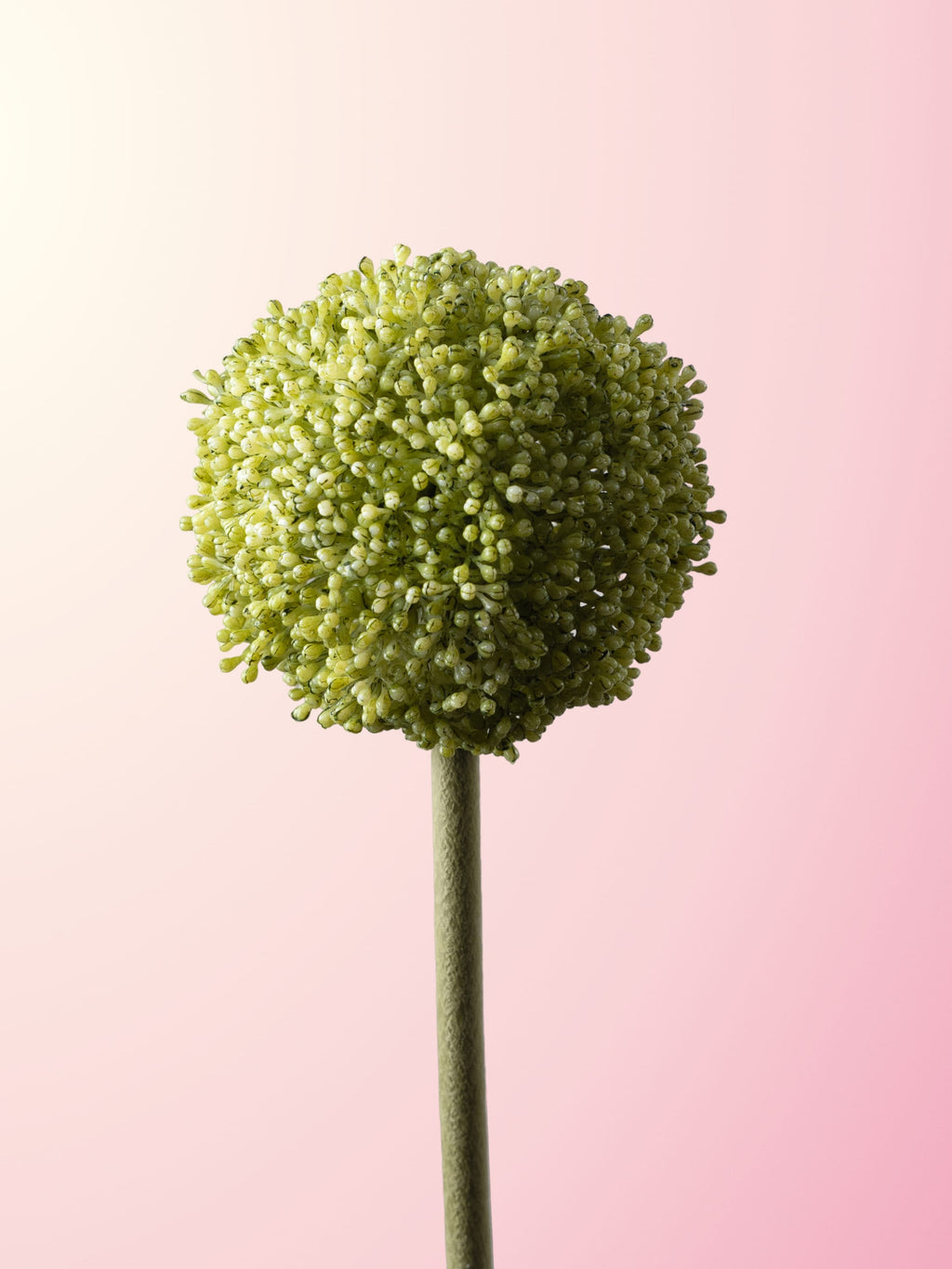 Green buddleia-DET-portrait