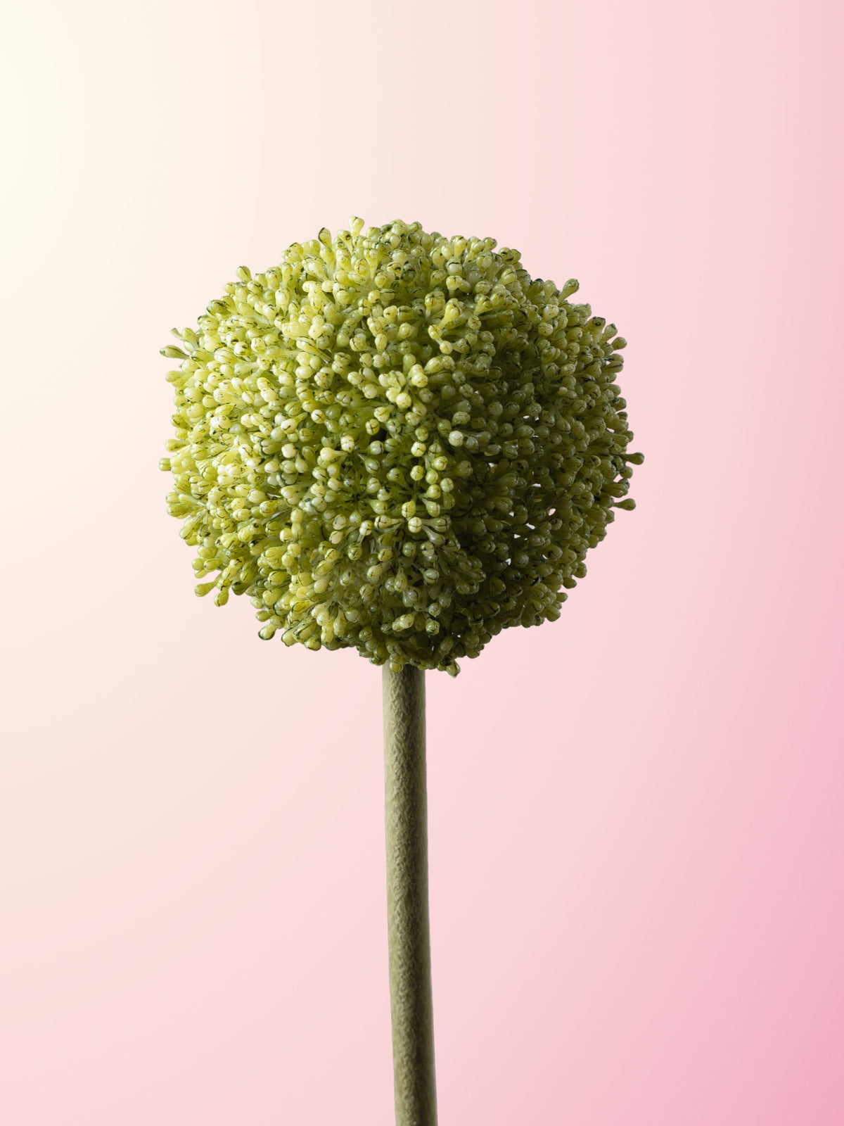 Green buddleia-DET-portrait