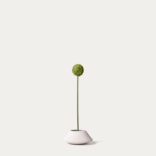 Green buddleia-FLOW-PDP