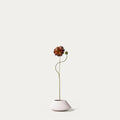 Green burgundy zinnia-FLOW-PDP