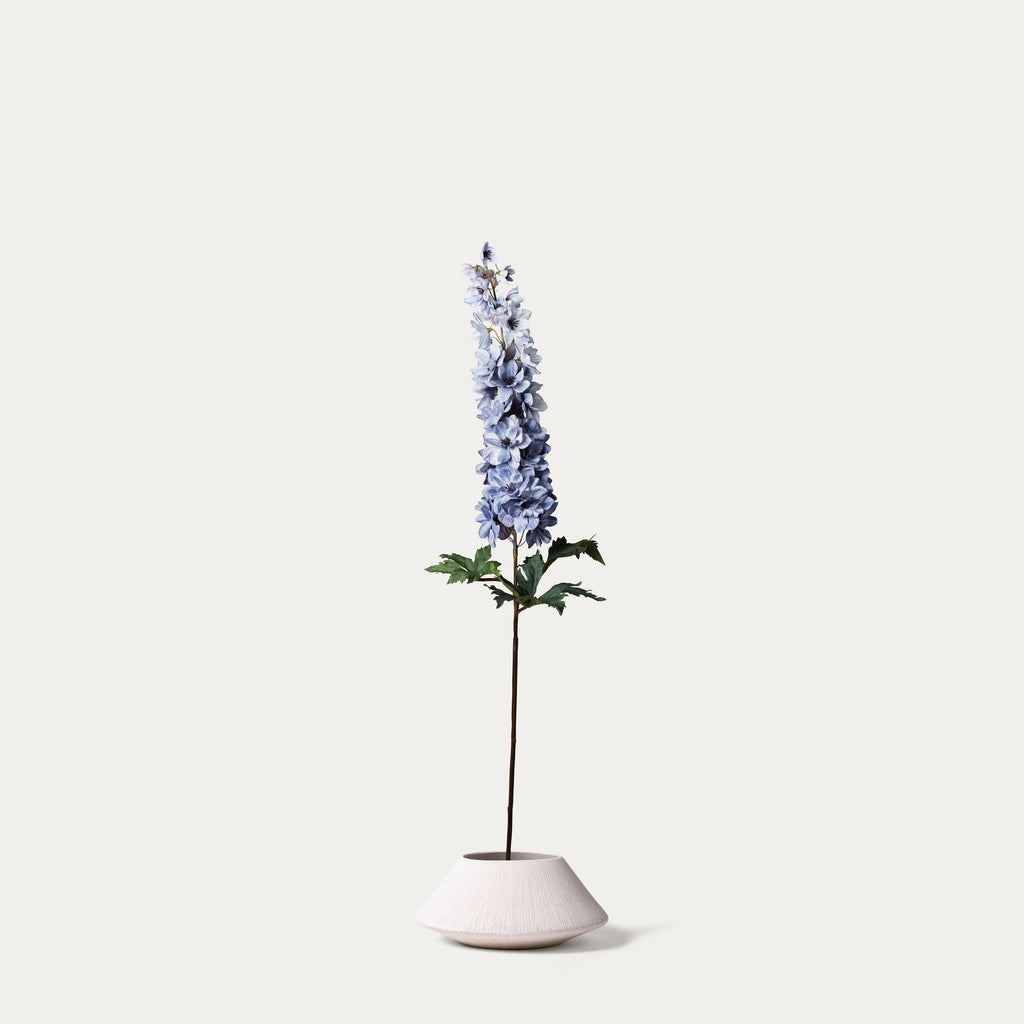 Grey blue delphinium-FLOW-PDP
