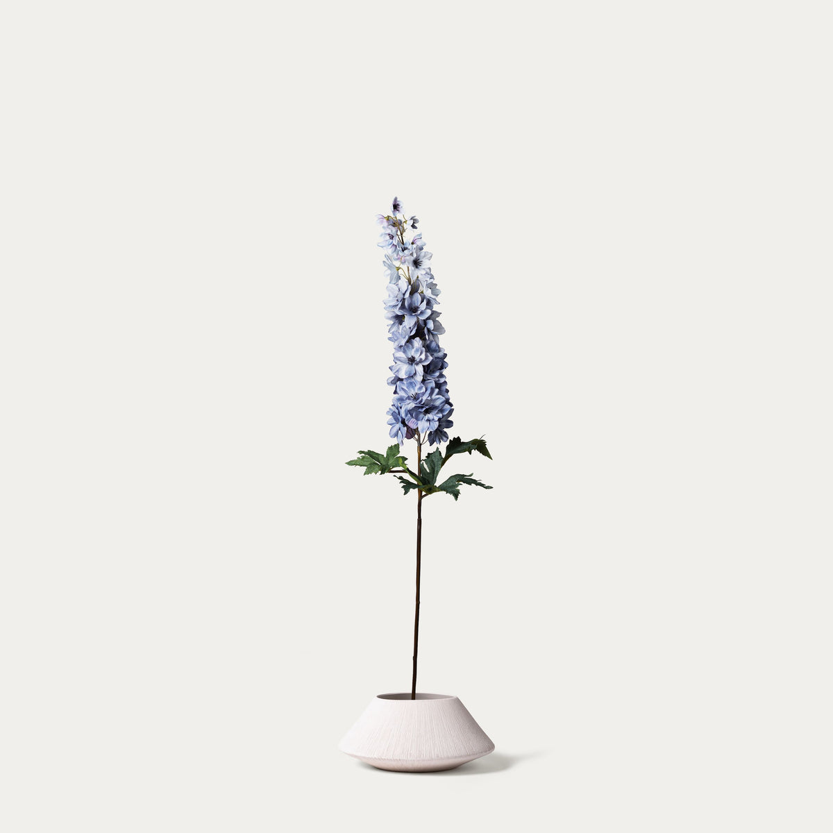 Grey blue delphinium-FLOW-PDP