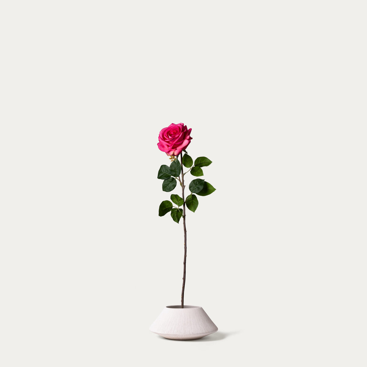 Hot pink rose-FLOW-PDP