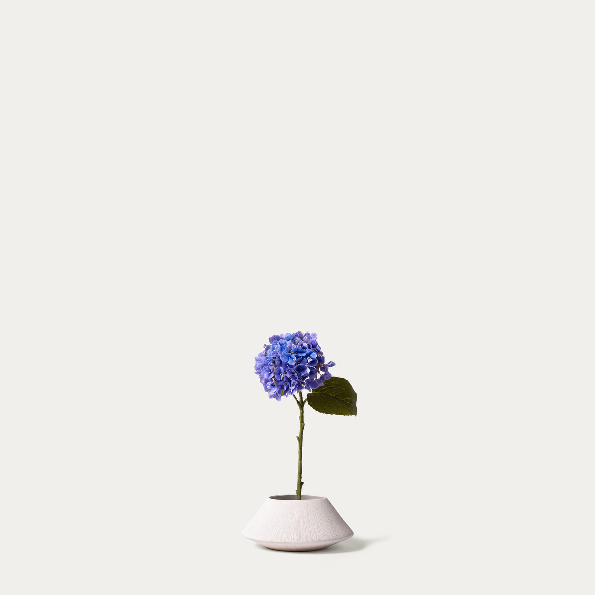 Indigo Real touch Hydrangea-FLOW-PDP