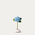 Light blue hydrangea-FLOW-PDP