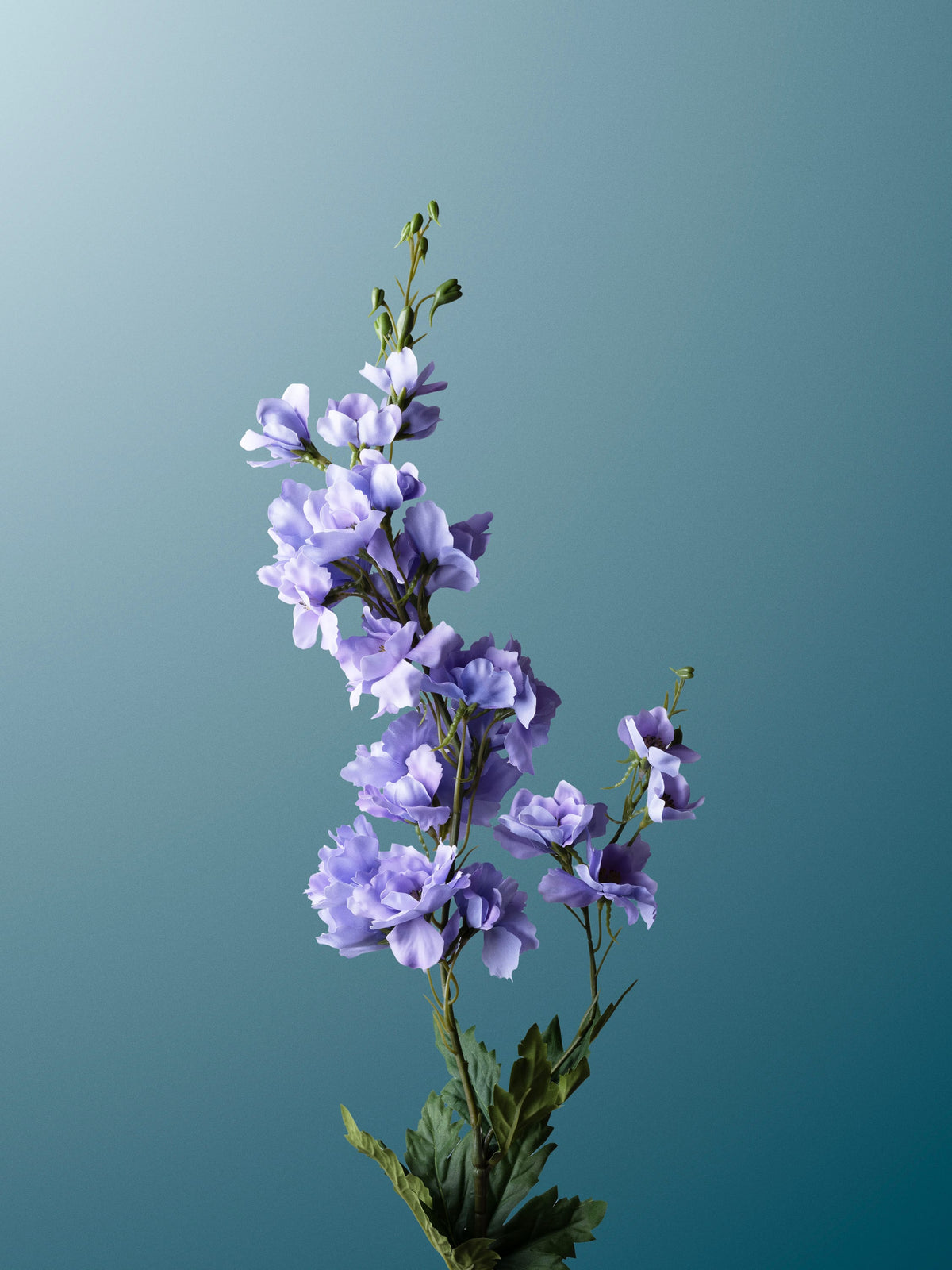 Lilac Delphinium-DET-portrait