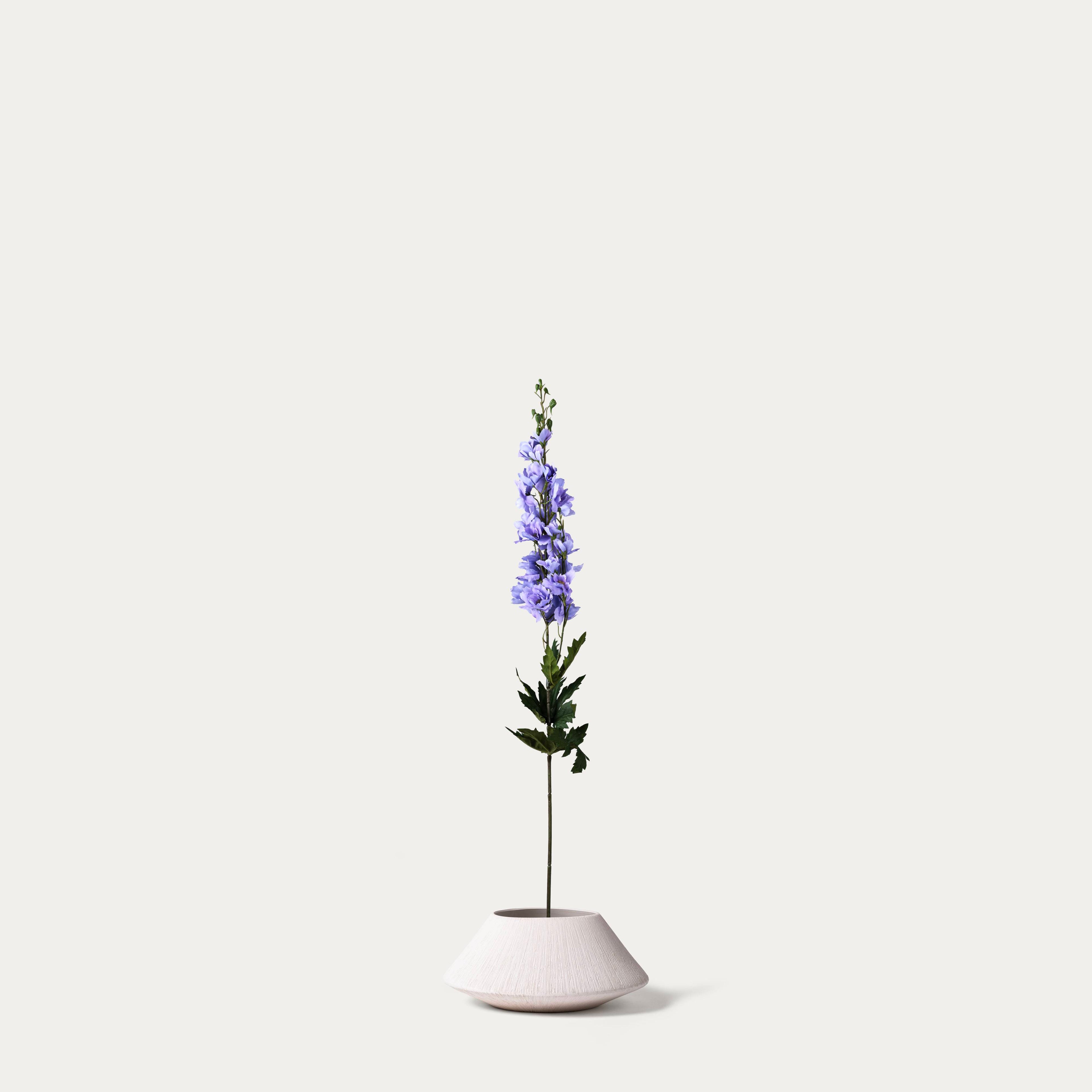 Lilac Delphinium