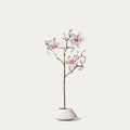 Mauve magnolia-FLOW-PDP