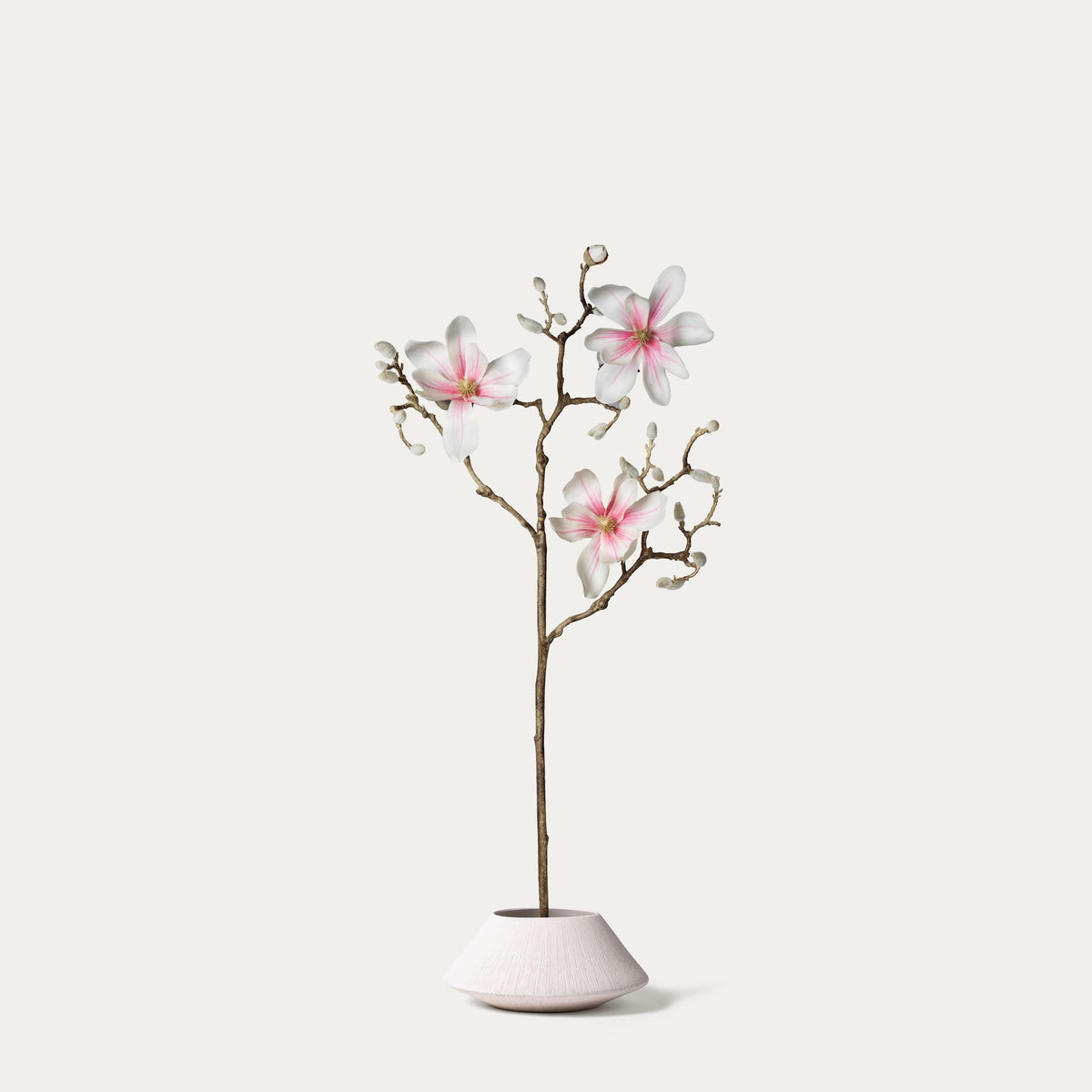 Mauve magnolia-FLOW-PDP