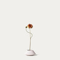 Mauve zinnia-FLOW-PDP