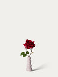 The Mini Valentine
