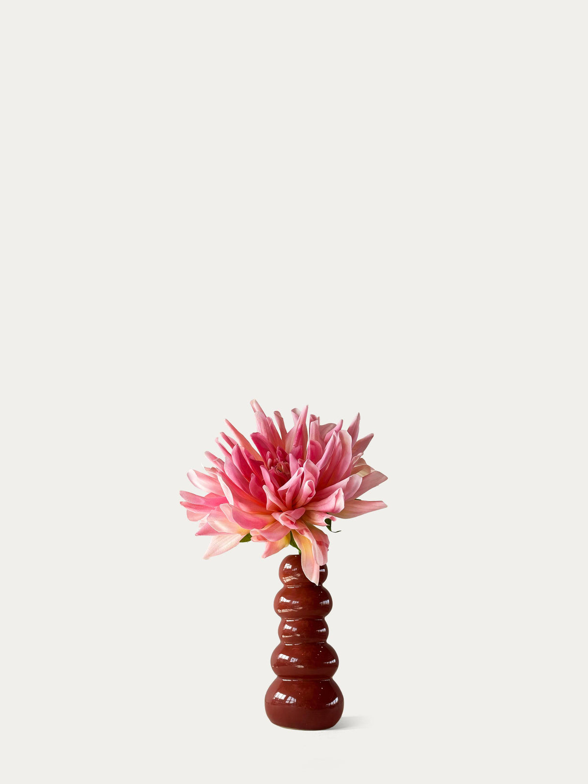 The Mini Pink Dahlia