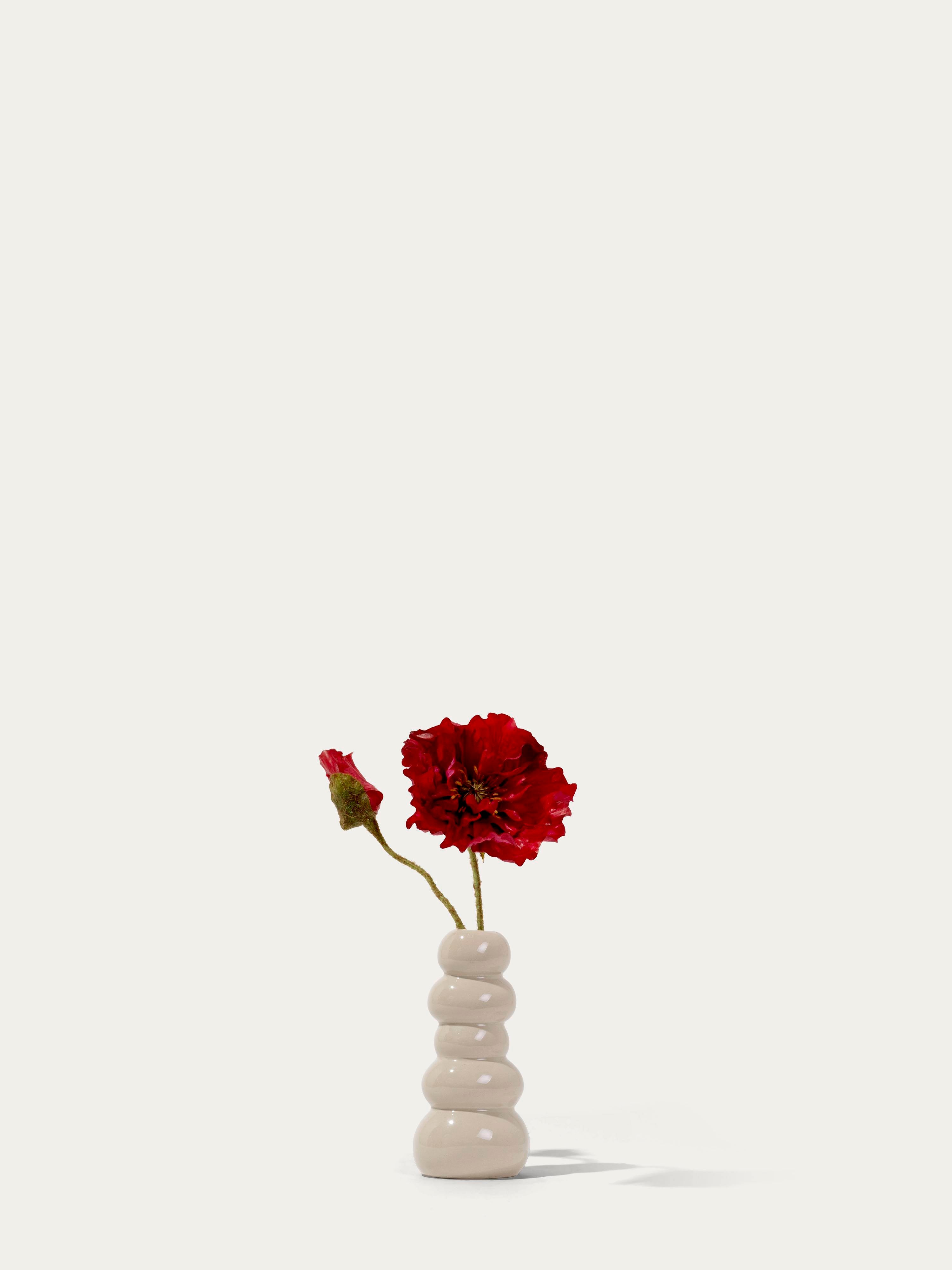 The Mini Poppy