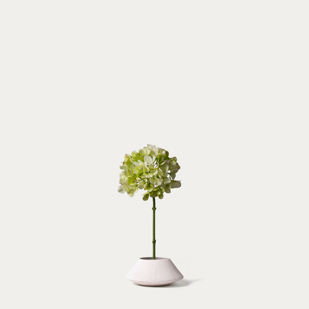 Mint hydrangea-FLOW-PDP