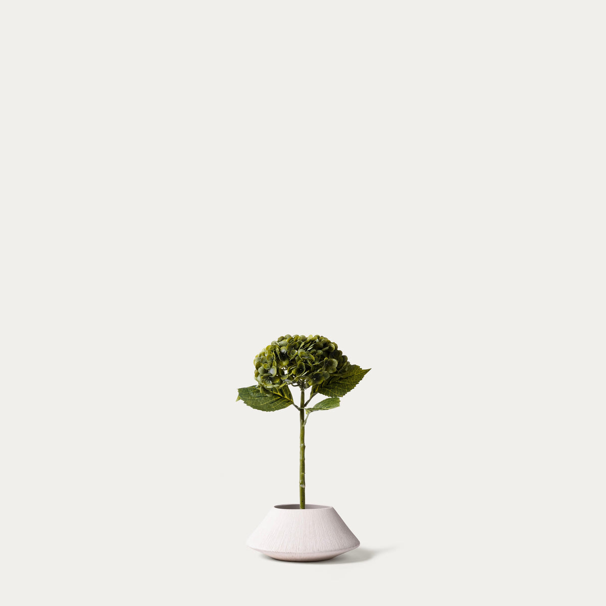 Olive Real touch Hydrangea-FLOW-PDP