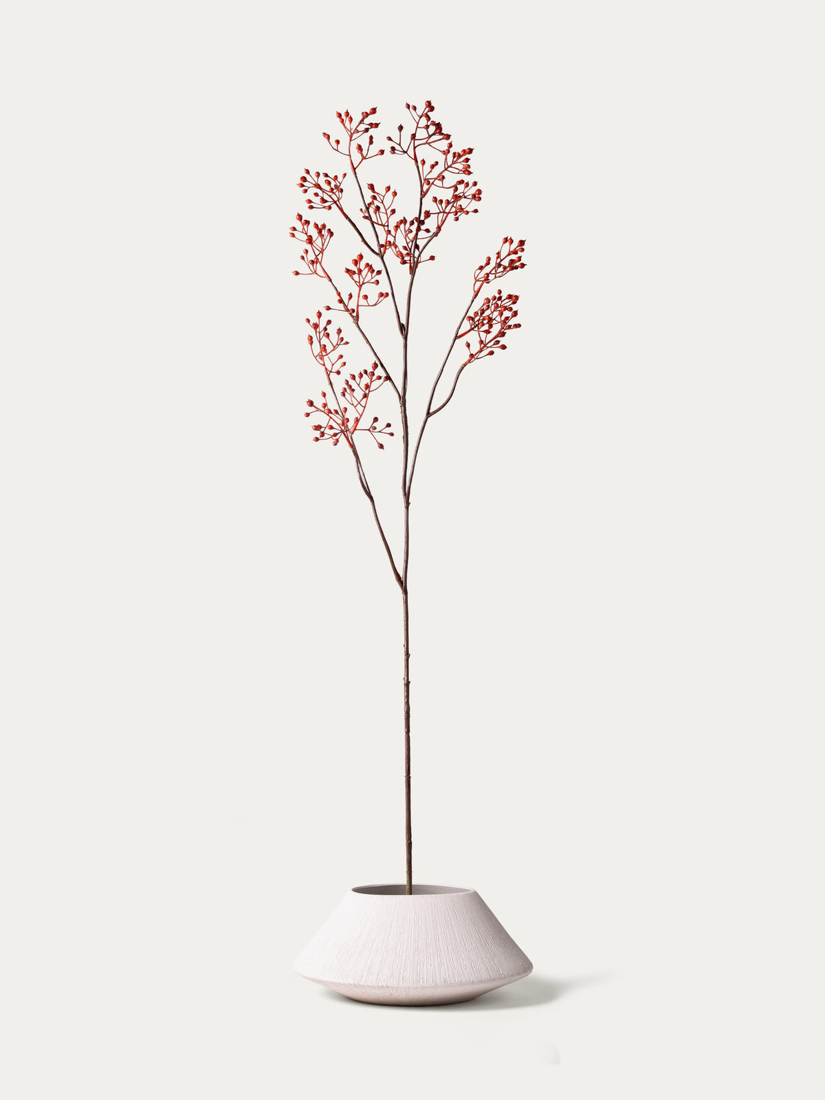 Orange berry branch-FLOW-PDP