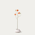 Orange cactus dahlia (five heads)-FLOW-PDP