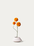 Orange marigold-FLOW-PDP