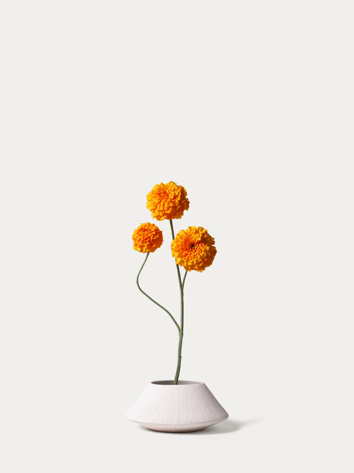 Orange marigold-FLOW-PDP