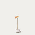 Peach anthurium-FLOW-PDP