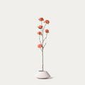 Peach blossom-FLOW-PDP