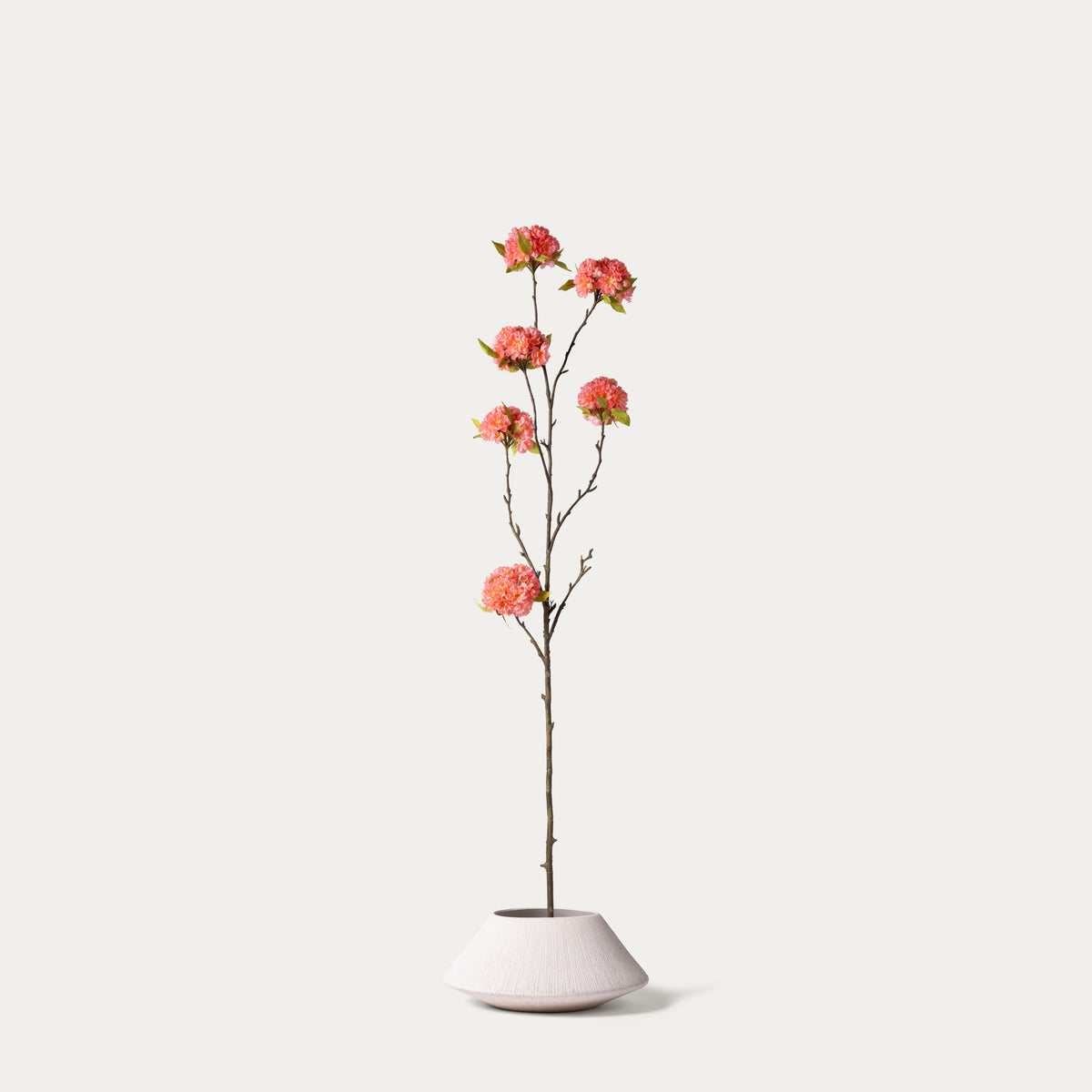 Peach blossom-FLOW-PDP