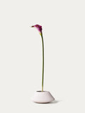 Pink calla-FLOW-PDP