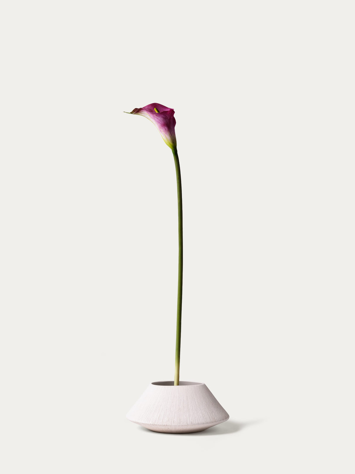 Pink calla-FLOW-PDP