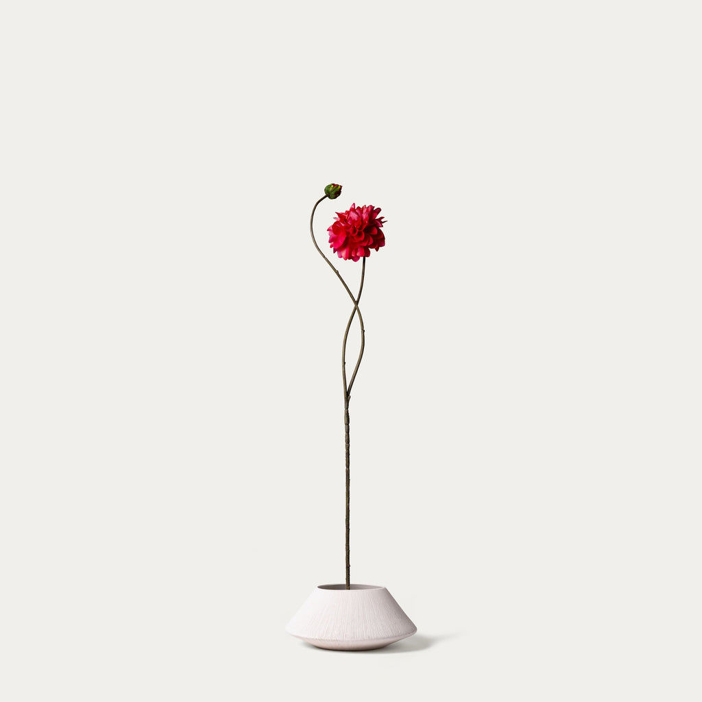 Pink dahlia-FLOW-PDP