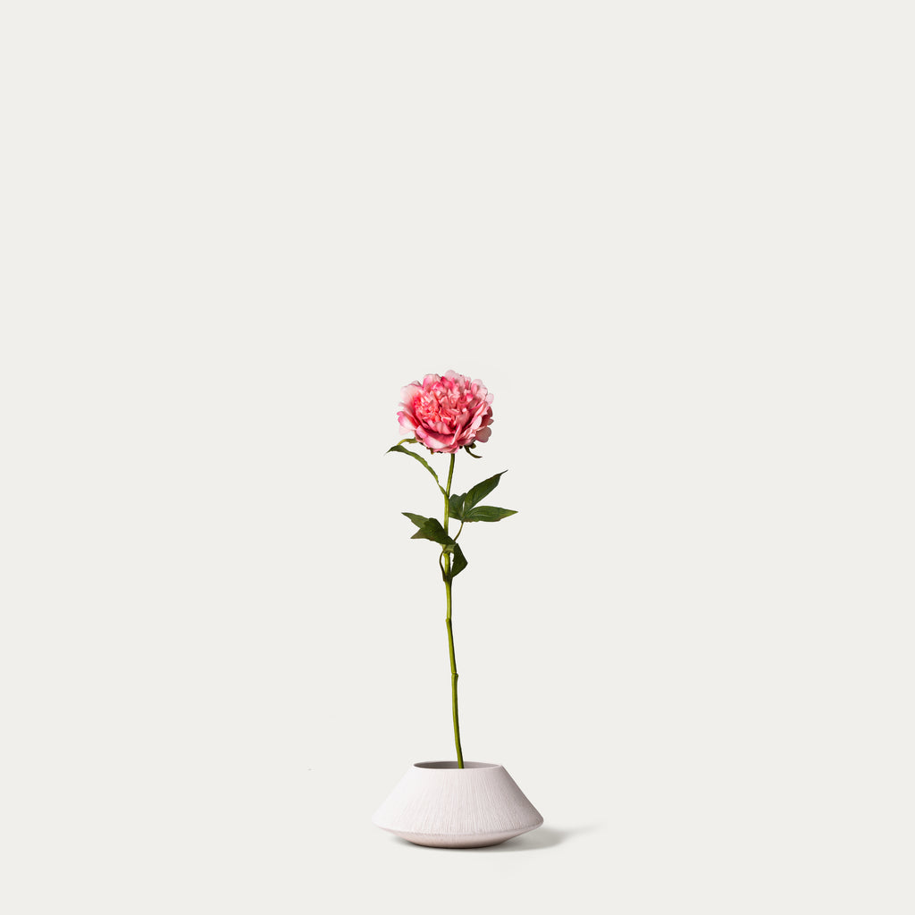 Pink peony-FLOW-PDP