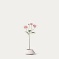 Pink poppy-FLOW-PDP