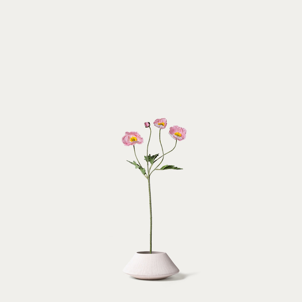 Pink poppy-FLOW-PDP