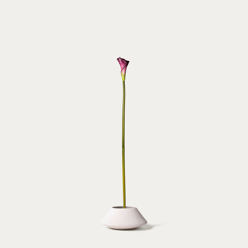 Purple calla lily-FLOW-PDP