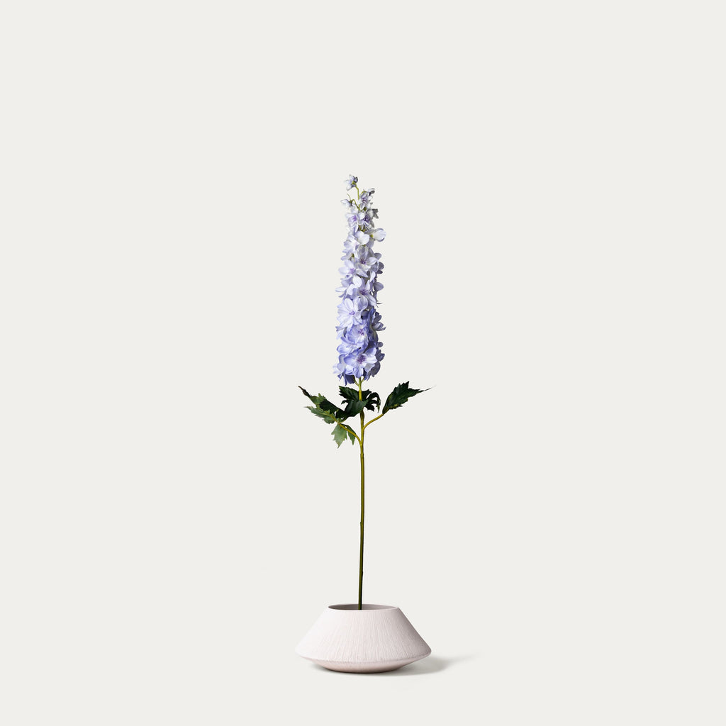 Purple delphinium-FLOW-PDP