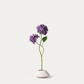 Purple hydrangea-FLOW-PDP