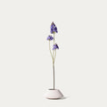 Purple lilac-FLOW-PDP