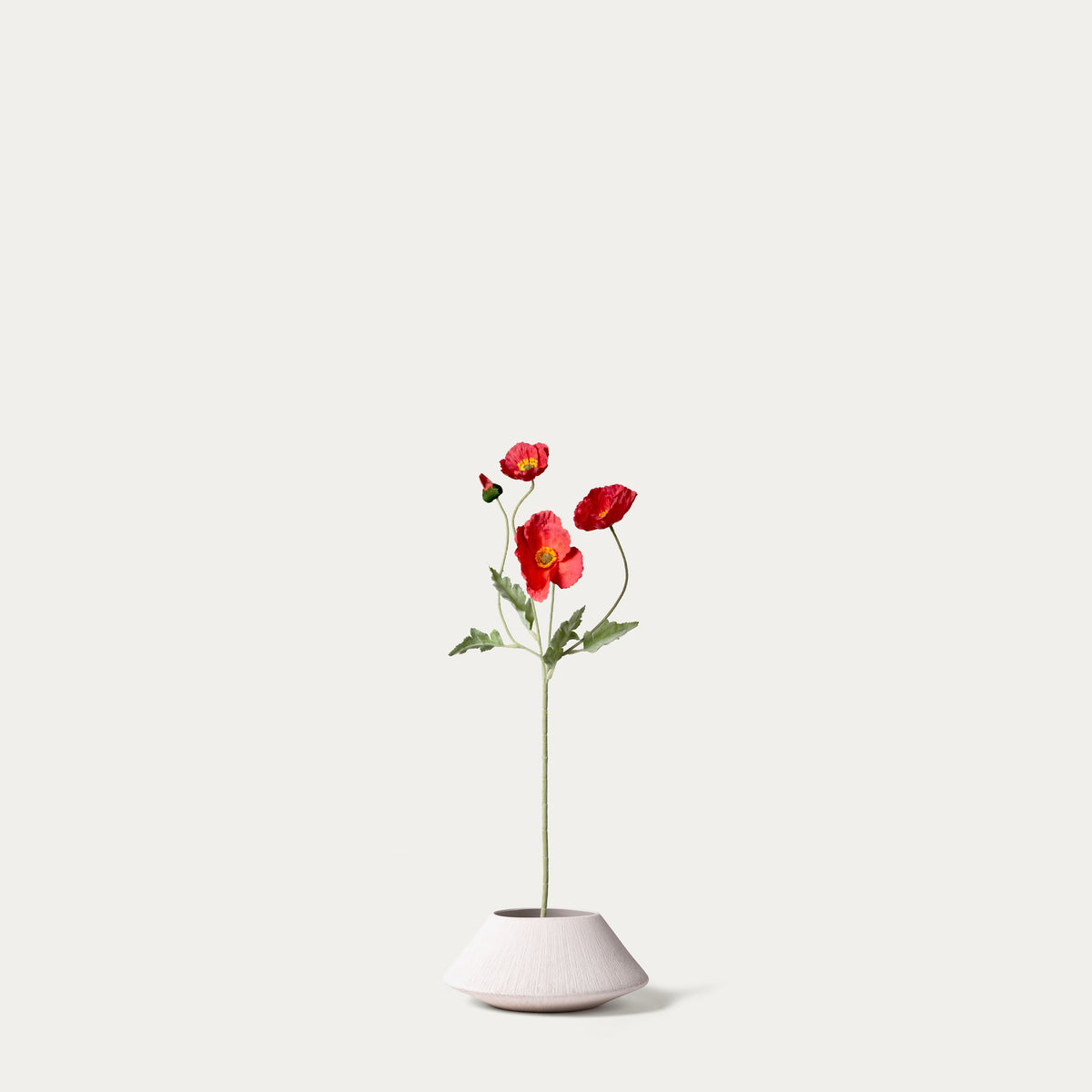 Red Iceland poppy-FLOW-PDP