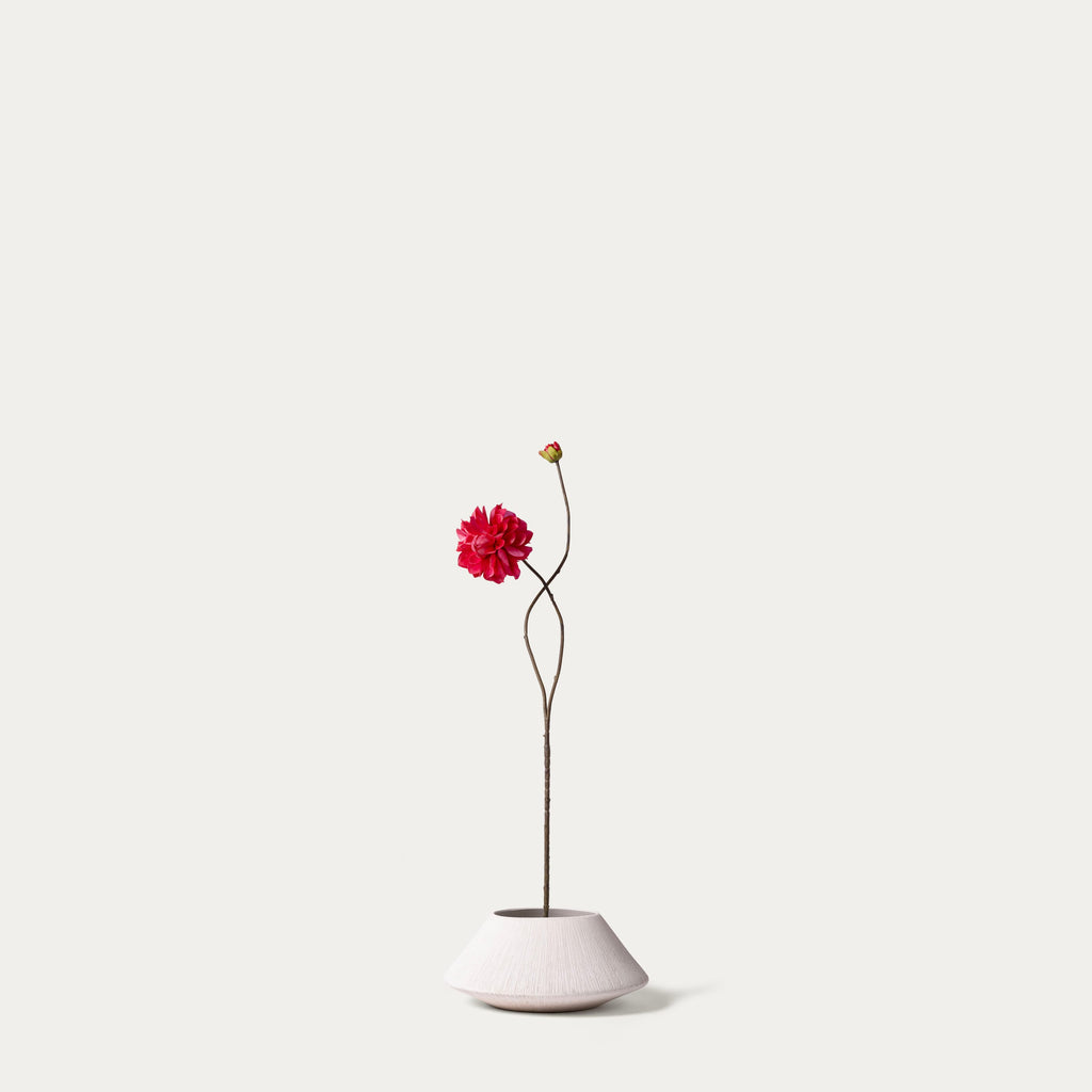 Red dahlia-FLOW-PDP