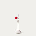 Red dahlia-FLOW-PDP