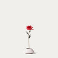 Red Mum