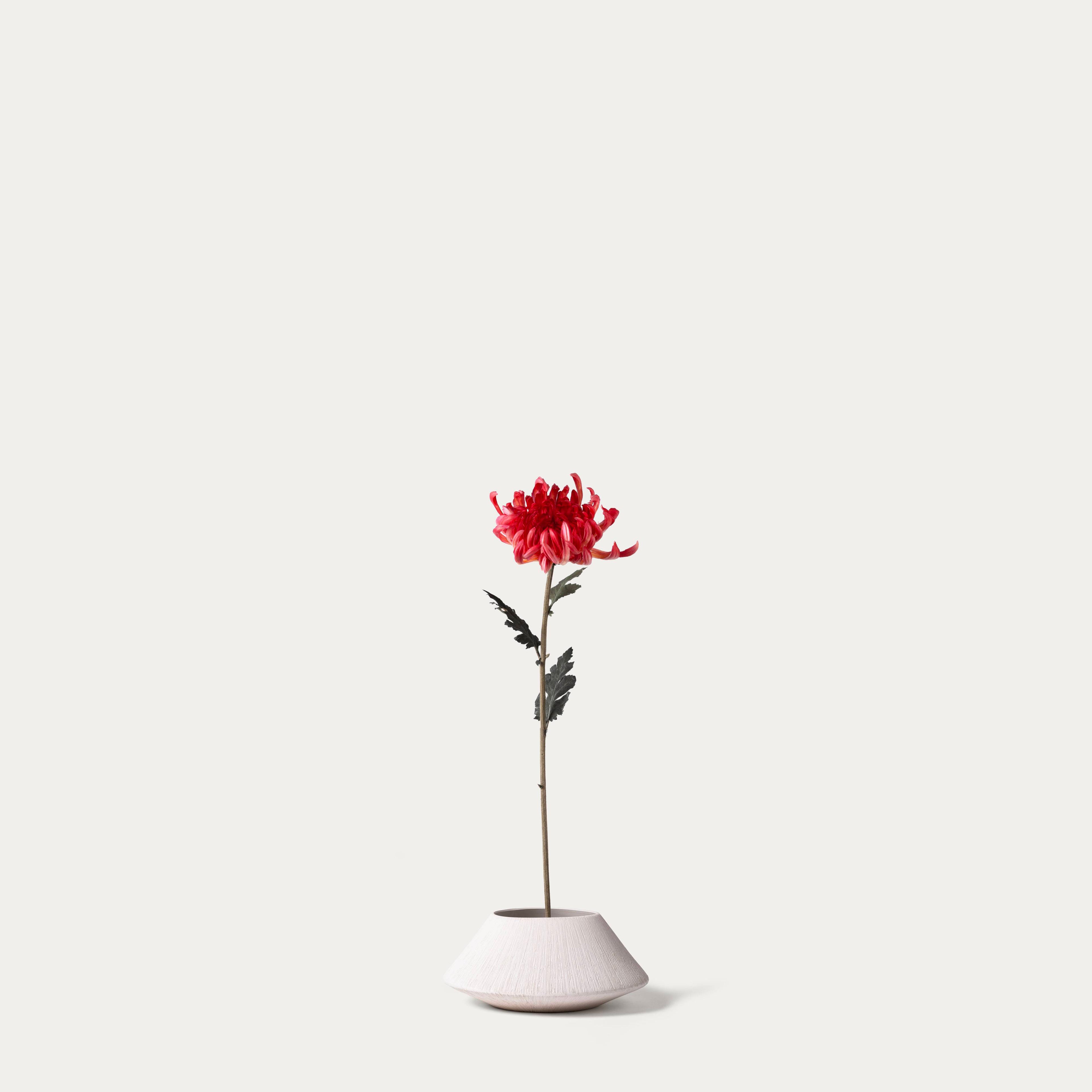 Red Mum